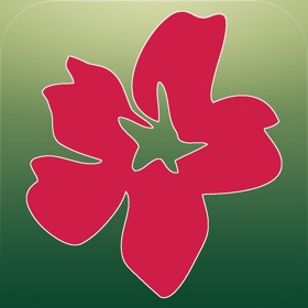 스크린샷 (5) Mobile Florist: Flower Delivery - Order & Send Fresh Flowers from Anywhere using Local Florists!