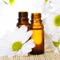 600 Essential Oil & Aromatherapy Recipes