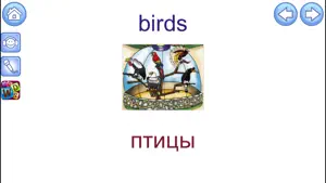 English Picture Dictionary for Russian Speakers screenshot #2 for iPhone