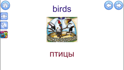 Screenshot #2 pour English Picture Dictionary for Russian Speakers