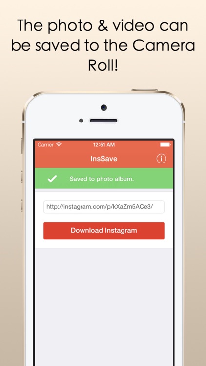 InsSave - Download & Save Photos & Videos From Instagram With Ease!