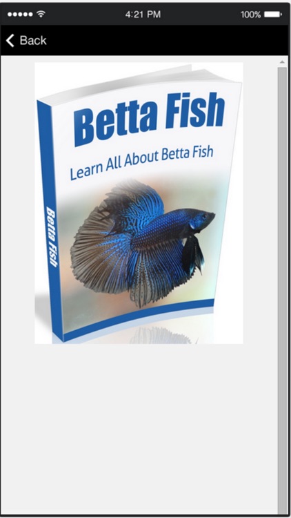 Betta Fish - Everything You Want to Know About Betta Fish