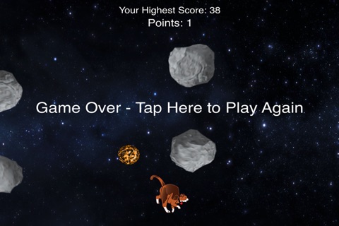 Blaster Cat - Asteroids screenshot 4