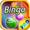 Bingo Book PRO - Play Online Casino and Daub the Card Game for FREE !