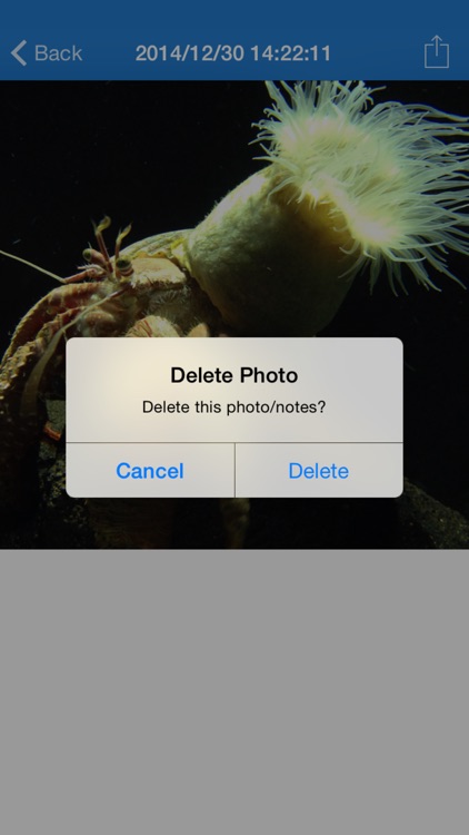 SnapNotes (by MWX) screenshot-4