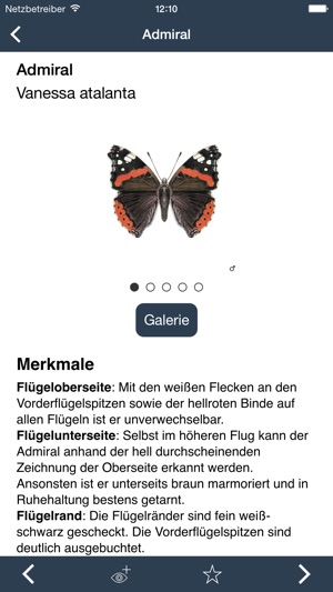 Tagaktive Schmetterlinge(圖3)-速報App