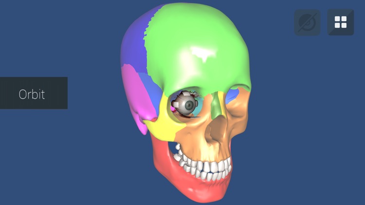 Anu Reality EyeSim Mobile screenshot-3