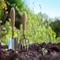Gardening Guide is the best video guide for you to grow your own gardening