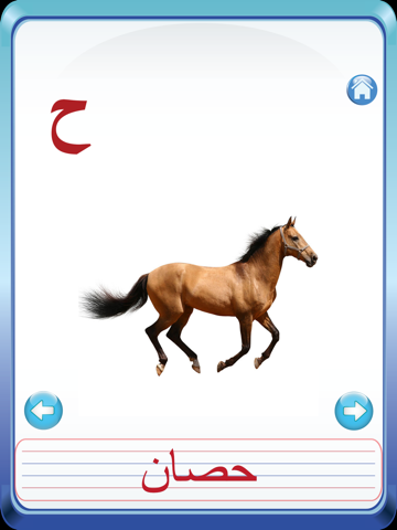 Kids Arabic Alif Baa Ta Huruf Flash Cards iPad screenshot