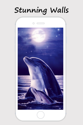 Dolphin Wallpapers - Best Collections Of Dolphin Pictures screenshot 4