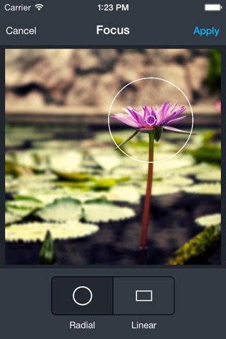 PicLab Express screenshot 3