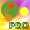 DOT-Touch Pro