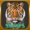 Big Cats Slots - Spin & Win Coins with the Classic Las Vegas Machine