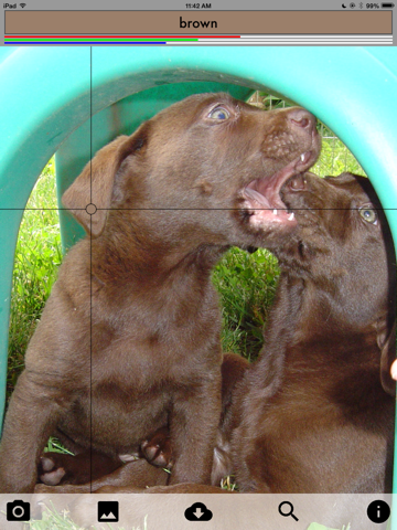 Screenshot #5 pour Color Identify