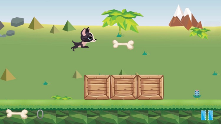 The Furious Sparky the Chihuahua in a Little Wild Jungle Free screenshot-4