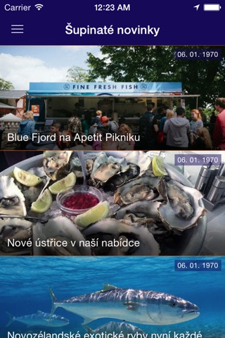 Blue Fjord screenshot 2