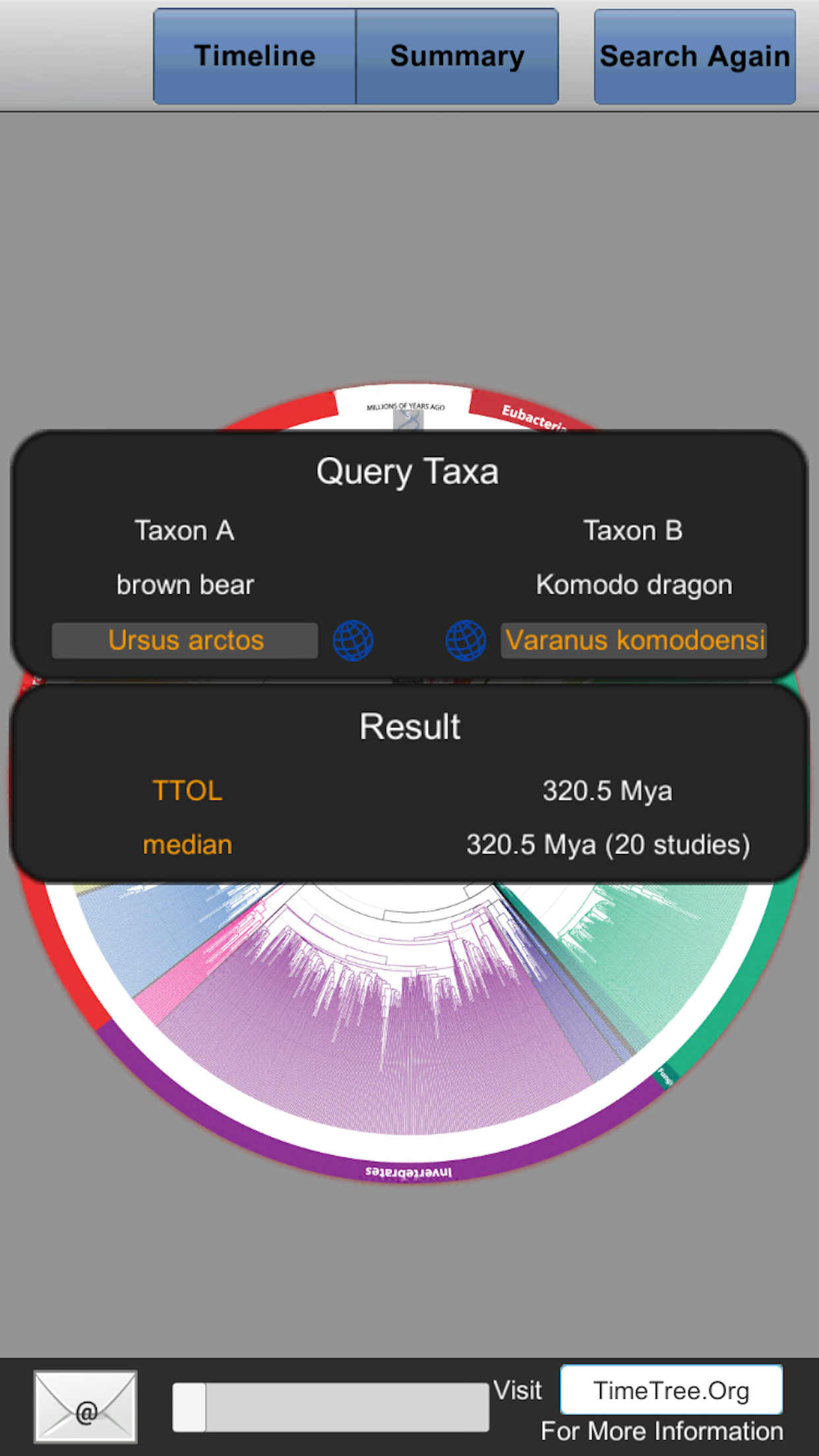 TimeTree