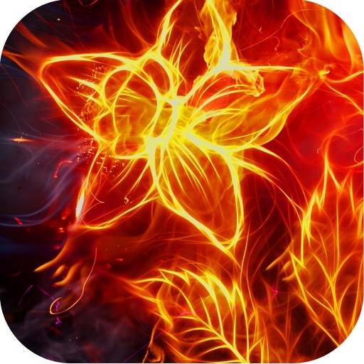 Screenify - Stunning Wallpaper & Background Themes FREE iOS App