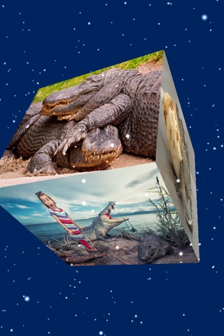 Crocodile - Photos, Diet & Behavior screenshot 2