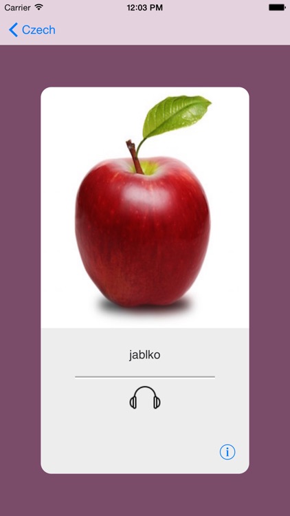 Learning Czech 400 Basic Words