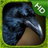 Crow Simulator - HD