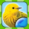 My Bird World HD