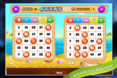 Beach Bingo Free : 12 Exciting Bingo Rooms screenshot 4