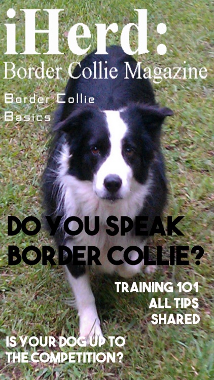 iHerd: Border Collie Lovers Magazine