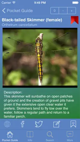 Game screenshot Pocket Guide UK Dragonflies apk