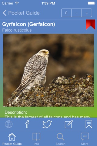 Pocket Guide UK Birds of Prey screenshot 2