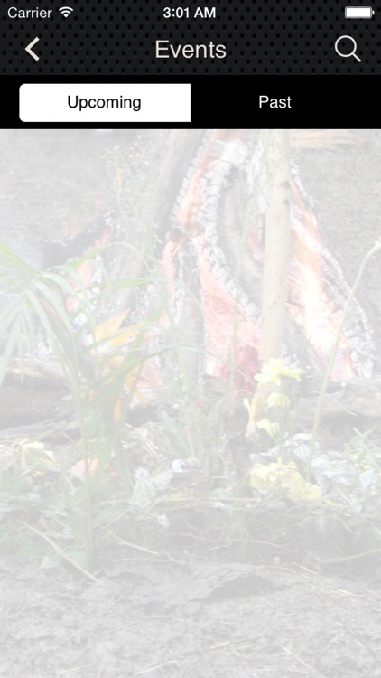 Earth Wisdom Foundation