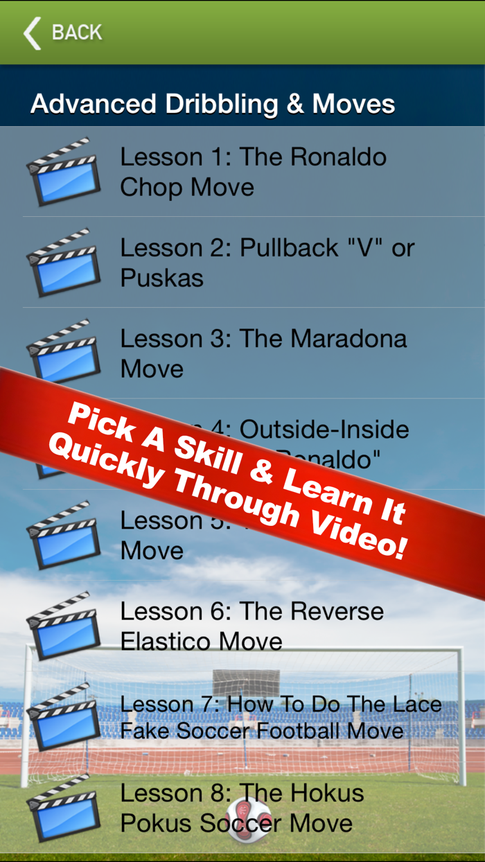 Vogel Soccer Mastery