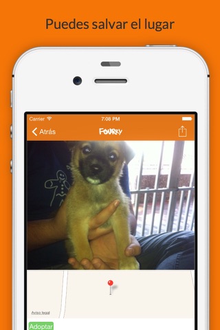 Fourry – Adopta o Salva una Mascota! screenshot 4