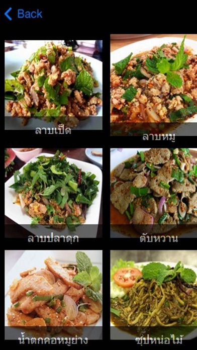 Screenshot #1 pour อาหารอีสาน สุดยอด อาหารไทย - Thai Food Recipe