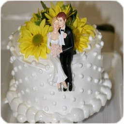 Wedding Cake Ideas