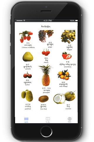 Tibetan Visual Dictionary screenshot 3