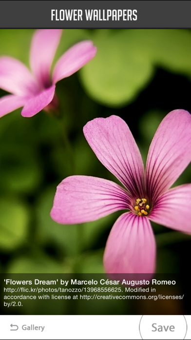 Screenshot #2 pour Flower Wallpaper