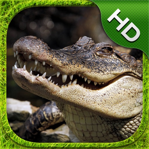Crocodile Simulator - HD iOS App