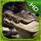 Crocodile Simulator - HD