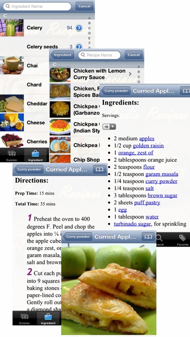 4000+ Indian Recipes screenshot1