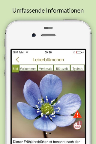 Blumen bestimmen – entdecken Sie, welche Pflanzen und Blüten Sie in Natur und Garten umgeben screenshot 3