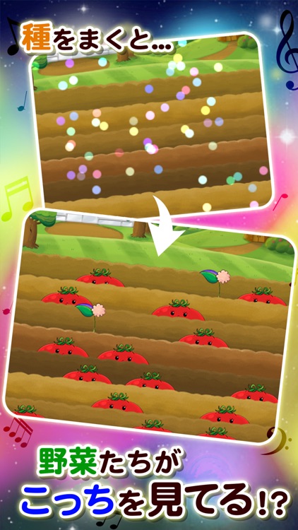 野菜音楽ライブ
