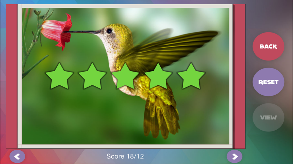 #4. Déjà Vu - Zoo (iOS) 由: GabySoft