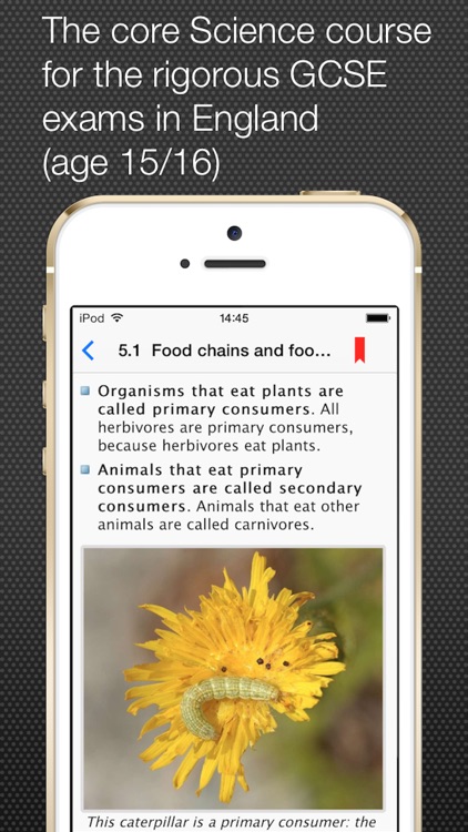 GCSE Science Lite Revision Guide