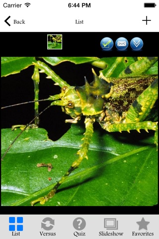 Insectarium Pro screenshot 2