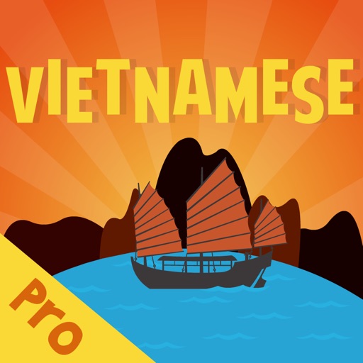 Vietnamese Flash Quiz Pro icon