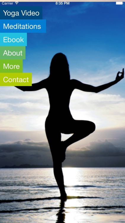 Vinyasa Flow Yoga, Beginner VideoApp with Christina Pedersen