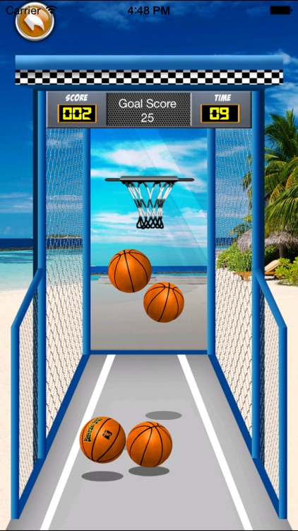 Amazing Real Basket Ball Free Game screenshot-3