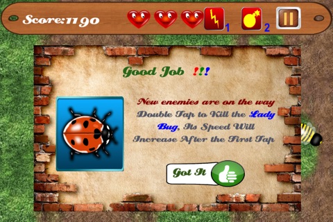 Angry Insects Smasher screenshot 3