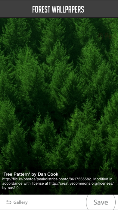Screenshot #3 pour Forest Wallpapers